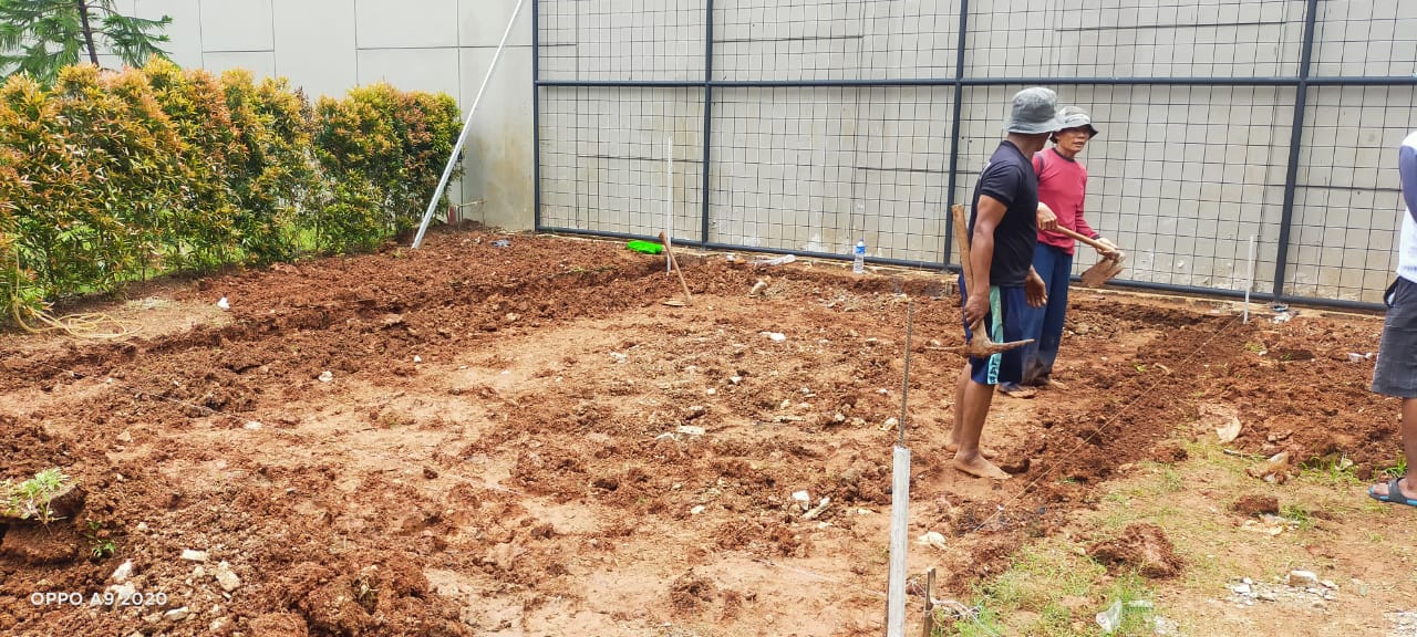 persiapan pasang rumput sintetis